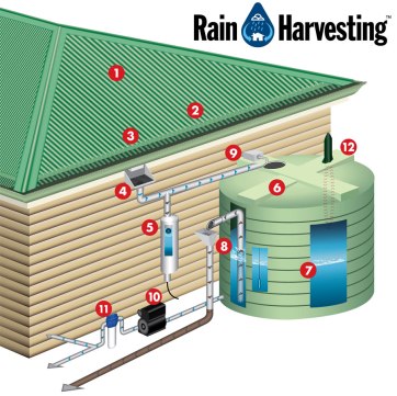 Rainwater - Collection Diagram